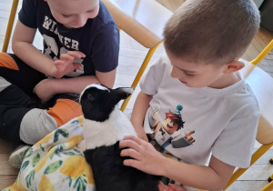 dzieci głaszczą królika