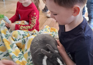 dzieci głaszczą królika