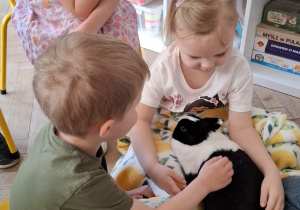 dzieci głaszczą królika