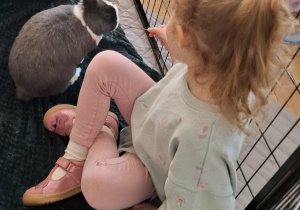 dzieci w zagrodzie z królikami