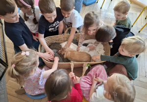 dzieci siedzą przy łóżeczku z królikami