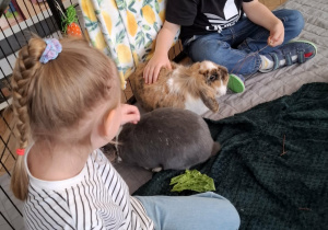 dzieci w zagrodzie z królikami