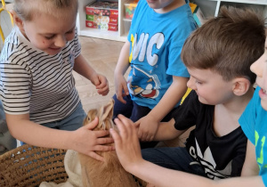 dzieci głaszczą królika