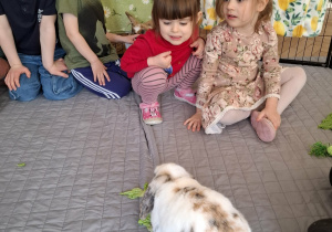 dzieci w zagrodzie z królikami