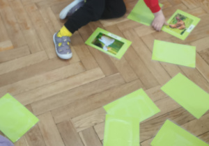 Chłopiec szuka par zwierząt wiejskich.