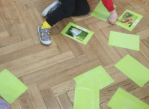 Zwierzęta z wiejskiej zagrody