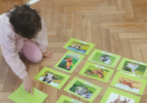 Dziewczynka zakrywa jedną z kart.