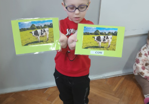 Chłopiec znalazł parę zwierząt wiejskiech.