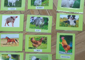 Zdjęcia zwierząt wiejskich.