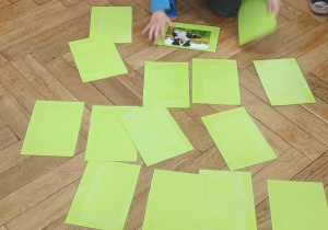 Chłopiec szuka pary zwierząt wiejskich.