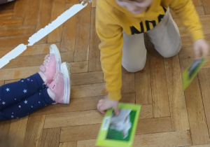 Chłopiec szuka pary zwierząt wiejskich.