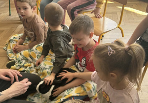 Zdjęcie przedstawia dzieci przykryte kocem. Na kocu leży królik. Głaszczą go dzieci.