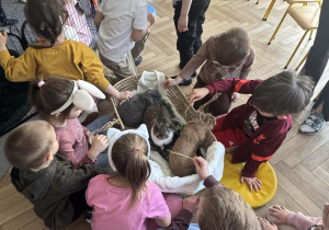 Na zdjęciu dzieci głaszczą króliki położone w koszu.