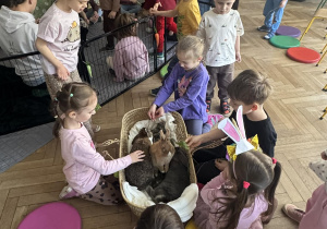 Na zdjęciu dzieci głaszczą króliki położone w koszu.