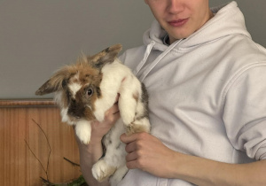 Na zdjęciu widać mężczyznę trzymającego na rękach królika.