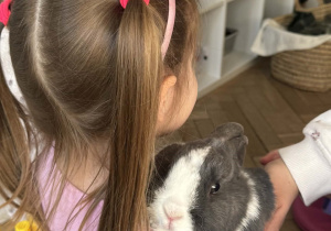 Na zdjęciu dziewczynka trzyma królika na ramieniu.