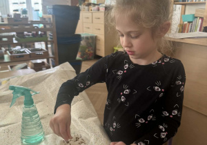 Zdjęcie przedstawia dziewczynkę sypiącą ziarenka.