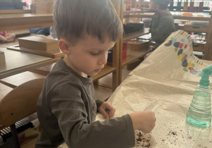 Zdjęcie przedstawia chłopca sypiącego ziarenka.