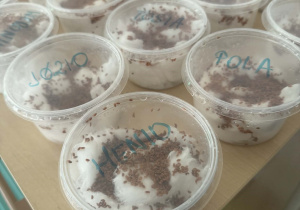 Na zdjęciu widać posadzoną rzeżuchę w pojemnikach.