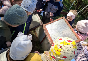 dzieci patrzą na małą szklarnię