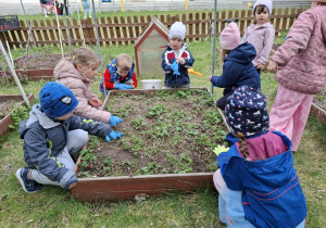 dzieci sprzątają rabatę