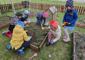 dzieci sprzątają rabatę