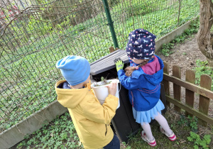 dzieci wrzucają chwasty do kompostownika