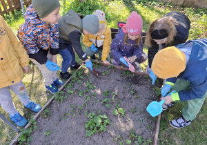 dzieci sprzątają rabatę
