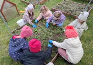 dzieci sprzątają rabatę
