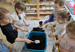 dzieci nabierają ziemię z pojemnika