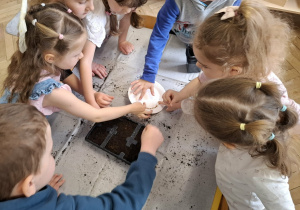 dzieci sieją nasiona