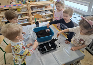 dzieci nabierają ziemię z pojemnika