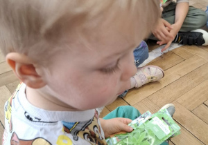 chłopiec trzyma w ręku opakowanie z nasionami roślin