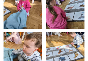 Na zdjęciach widzimy dzieci, które wyciągają z pudełka figurki zwierząt egzotycznych i przyporządkowują je do odpowiedniej ilustracji znajdującej się na dywaniku.