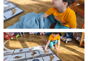 Na zdjęciach widzimy dzieci, które wyciągają z pudełka figurki zwierząt egzotycznych i przyporządkowują je do odpowiedniej ilustracji znajdującej się na dywaniku.