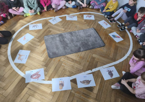 Na zdjęciu widzimy dywanik, a wokół niego ilustracje zwierząt egzotycznych.