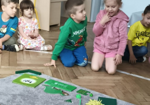 Poszukiwanie zielonego w przedszkolu