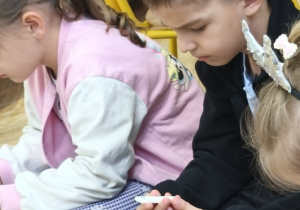 Oglądanie akcesoriów do badań