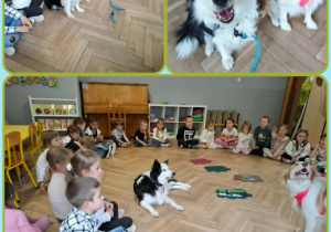 Dzieci obserwują psy, odpowiadają na pytania