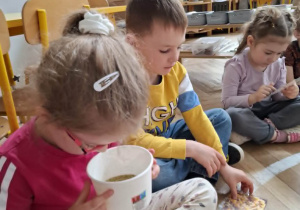 dzieci oglądają zdjęcia rumianku, dziewczyka patrzy do pudełka gdzie znajduję się suszony rumianek