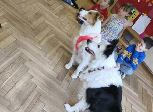 Dogoterapia - kolejne spotkanie z psem