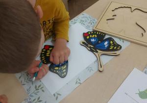Chłopiec podczas pracy z puzzlami botanicznymi