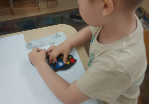 Chłopiec podczas pracy z puzzlami botanicznymi