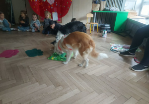 Psy szukające ukrytych przez dzieci przysmaków