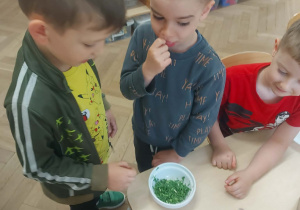 degustacja i sprawdzanie smaku