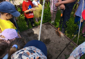 Wspólne wykopywanie dołków pod sadzonki