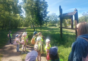 dzieci przed tablicą przyrodniczą zafascynowane pokazanym cyklem rozwojowym żaby