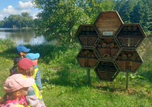 Dzieci obserwują ogromny domek dla owadów