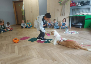 Bibi w oczekiwaniu na podanie w misce chrupka