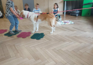 chłopiec, który po dywanikach w misce niesie Bibi smakołyk